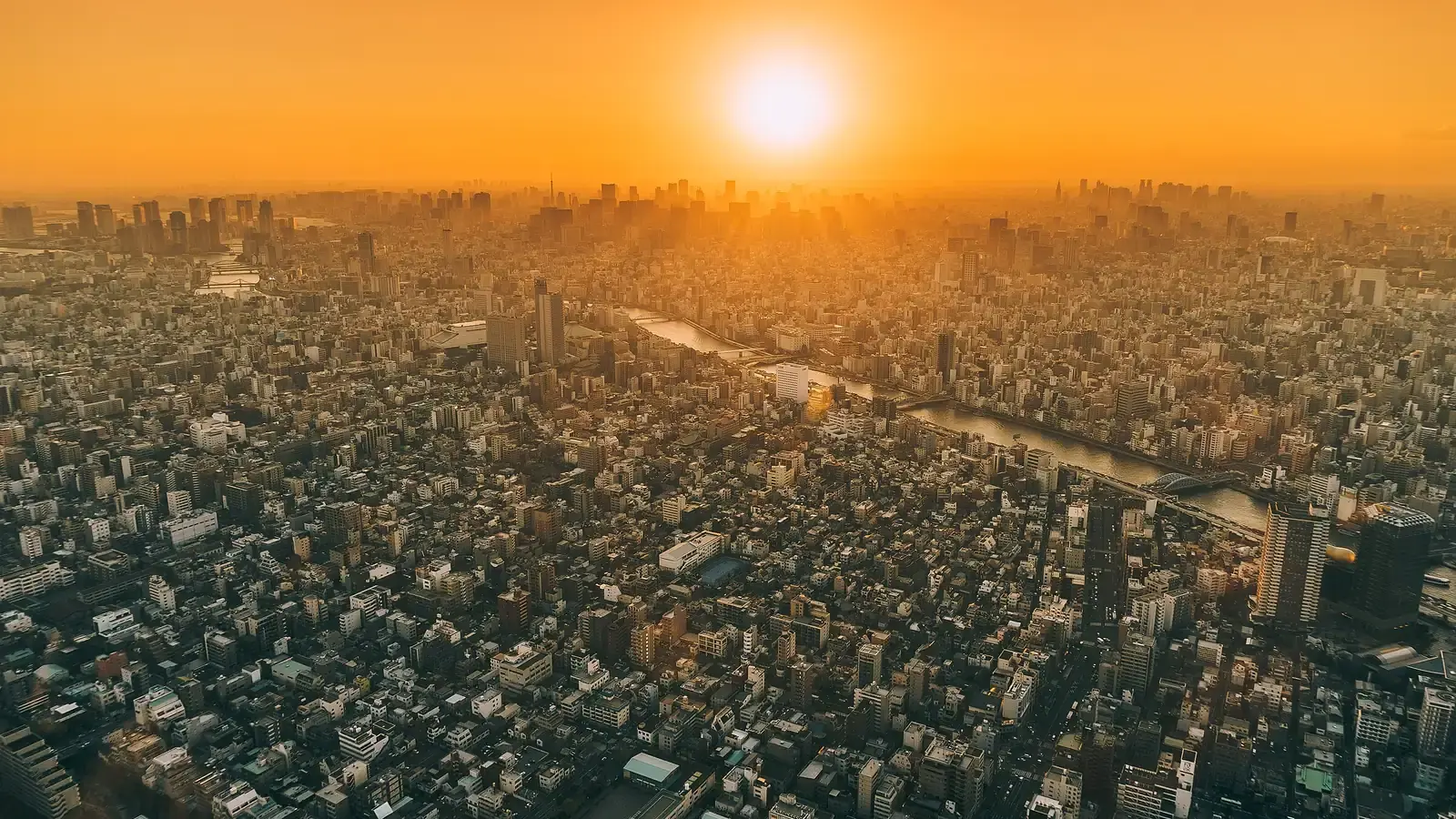 Tokyo at sunset seen from above, the river winding through the city towards the low sun