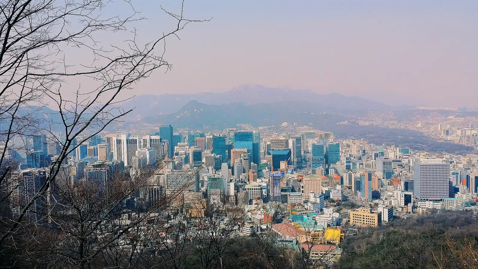 Seoul spread out below a wooded ridge at dusk, mountains standing behind the city