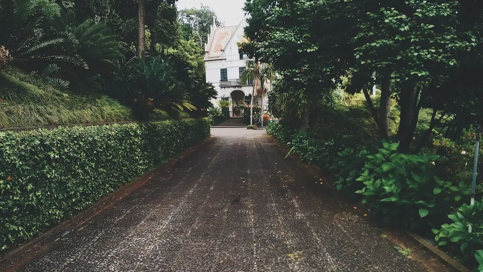 A cobbled drive running between clipped hedges to a white manor house