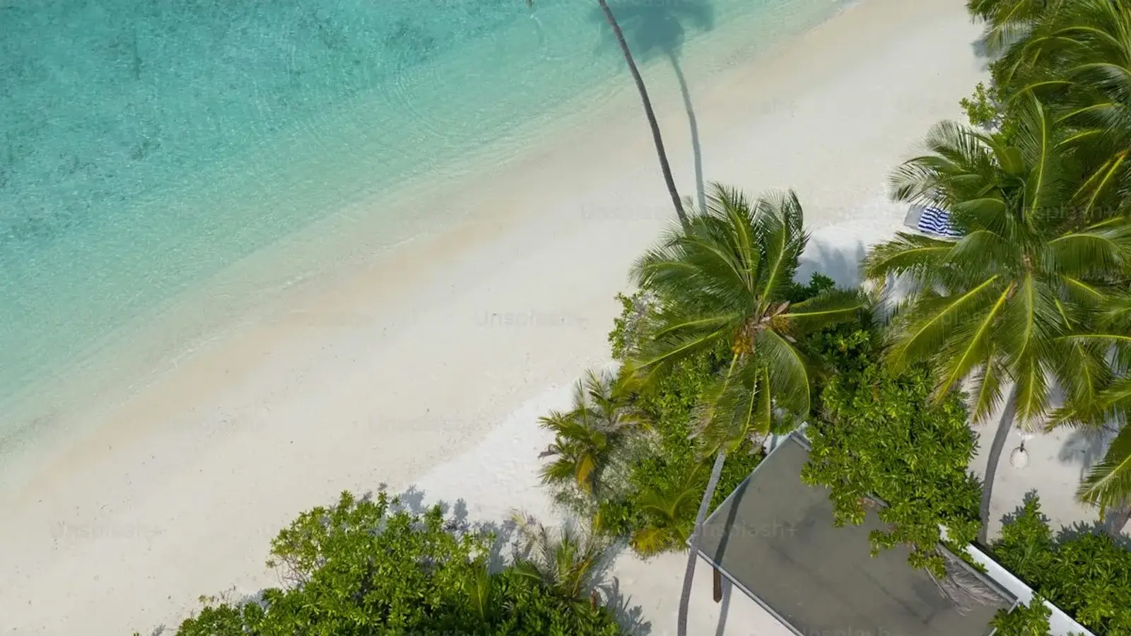 An aerial view of palms crowding a strip of white sand