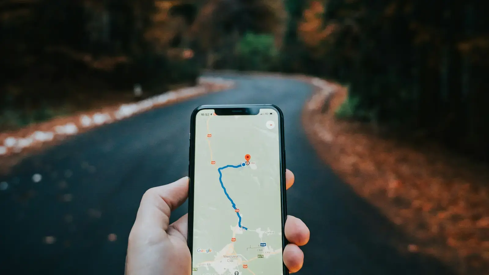 A hand holding a smartphone showing a route on a navigation map, a forest road with autumn leaves behind