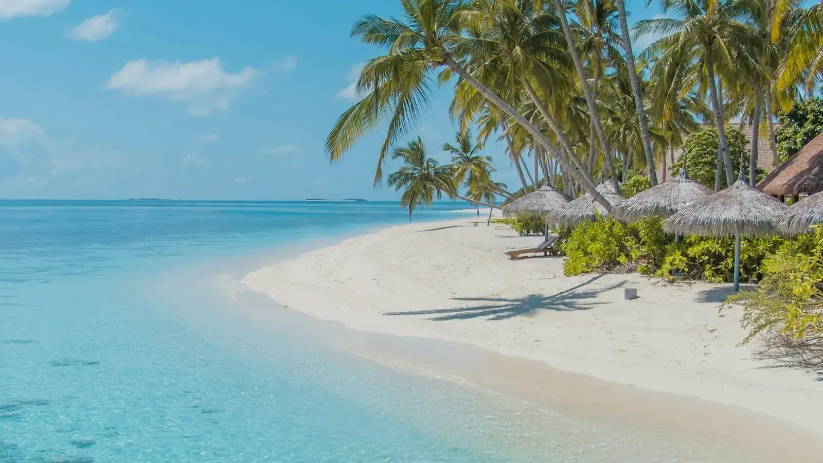 Rows of thatched parasols along an empty tropical beach