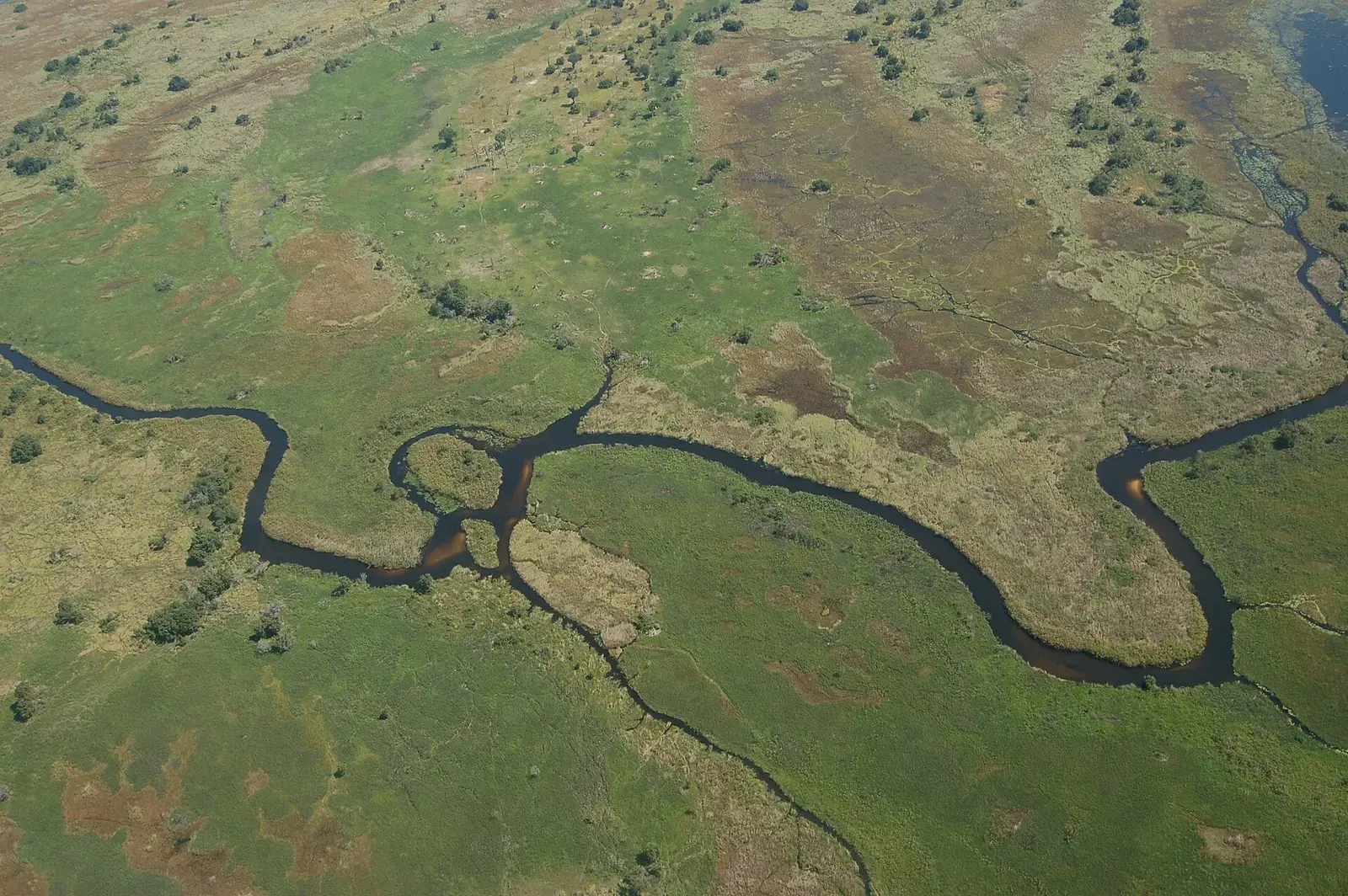 Okavango Delta & Mombo Camp, Botswana
