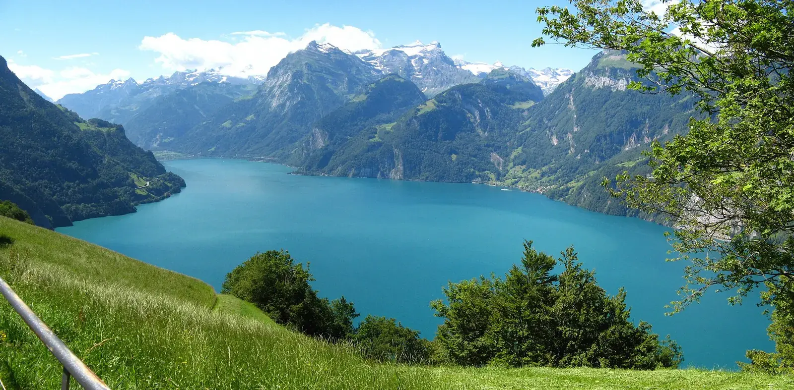 A deep alpine lake below snow-capped peaks, meadow grass in the foreground