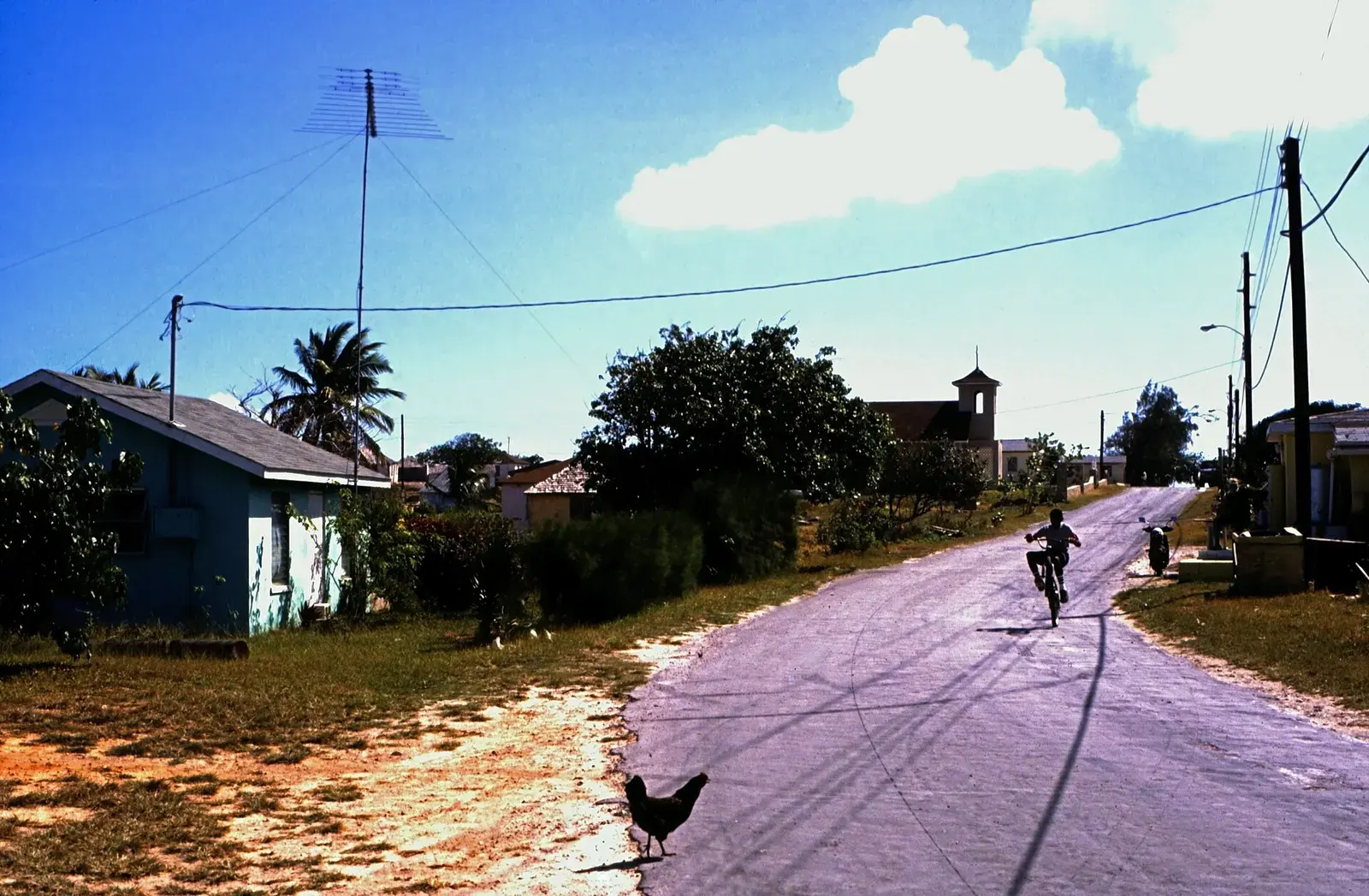 A pale island lane between low houses, a chicken on the verge and a boy cycling towards a church tower