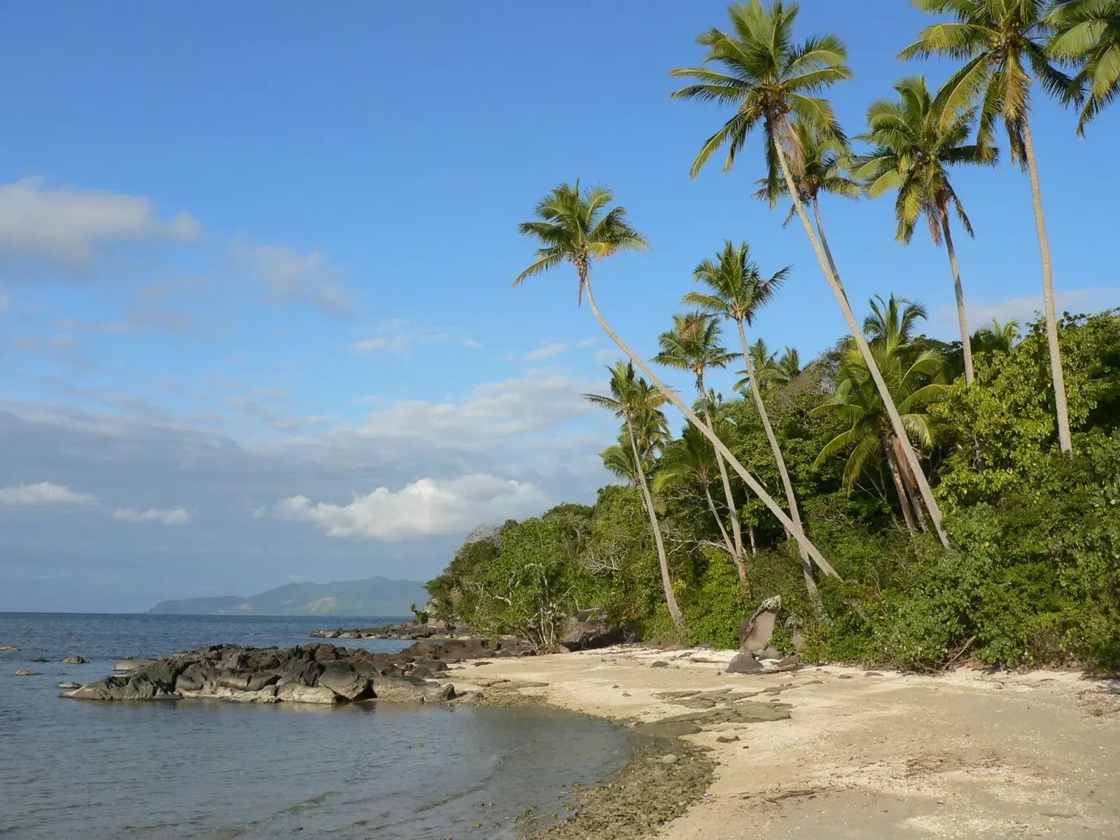Coconut palms leaning over a rocky white beach, a headland and a green ridge beyond